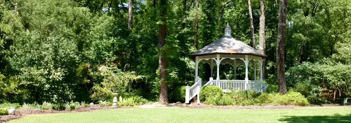 Equilibrium Chiropractic in Oak Ridge NC Equilibrium Chiropractic in Oak Ridge NC